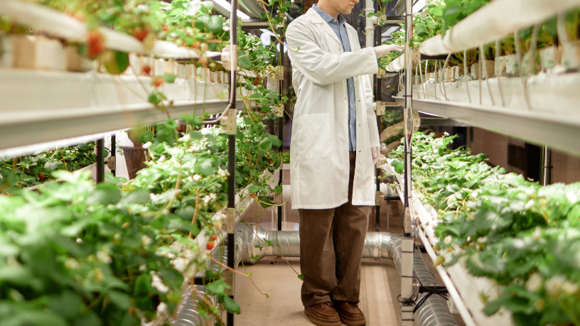 Reduzir desperdícios e proteger o solo são pilares da agricultura sustentável, destaca Aldo Vendramin.