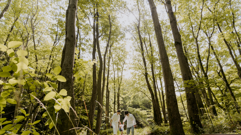 Descubra como a educação ambiental desde a infância transforma gerações mais responsáveis, com Elias Assum Sabbag Junior.