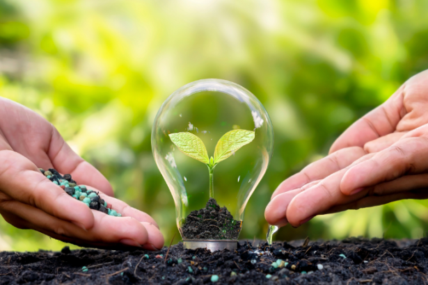 Educação ambiental na prática: como formar cidadãos conscientes desde cedo, por Elias Assum Sabbag Junior.