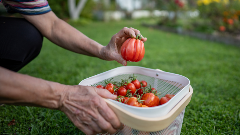 Morar verde: Alex Nabuco dos Santos revela como a autossuficiência energética valoriza o imóvel e reduz custos.