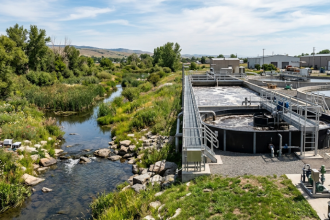 Felipe Schroeder dos Anjos