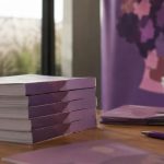 Políticas Públicas para Mulheres no Paraná: O Que o Livro Lançado pelo Governo Estadual Revela Sobre o Avanço Real da Agenda de Gênero